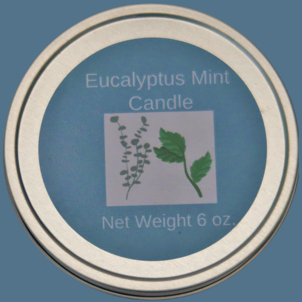 Eucalyptus Mint Soy Candle with Wood Wick